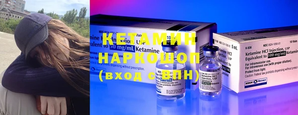 шишки Белокуриха
