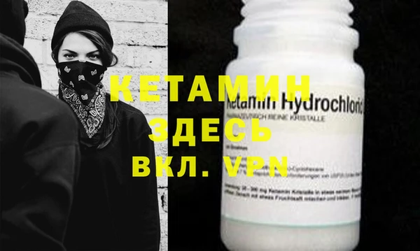 шишки Белокуриха