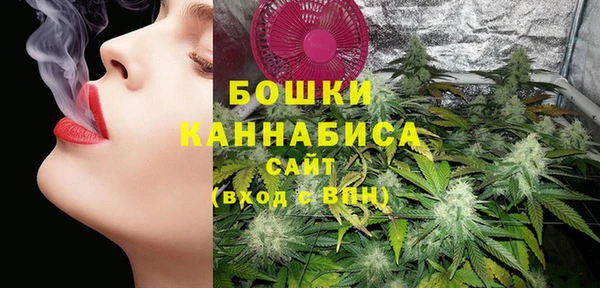 шишки Белокуриха