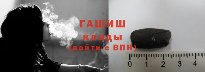 шишки Белокуриха