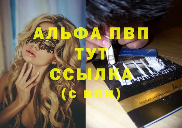 шишки Белокуриха