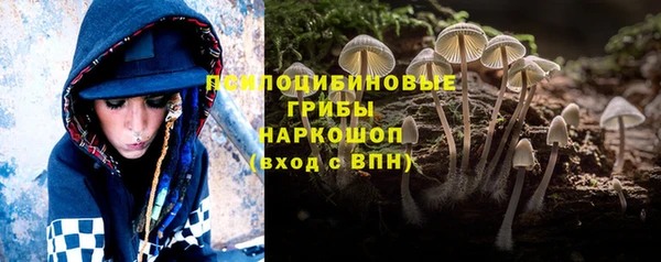 мдпв Семилуки