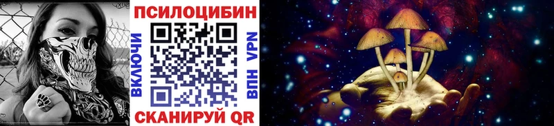 Галлюциногенные грибы мицелий  kraken рабочий сайт  Жердевка 